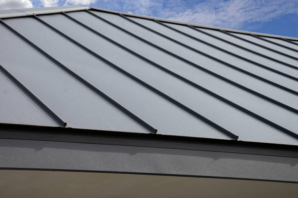 Best Solar Panel Roofing Installation  in Marble Falls, TX